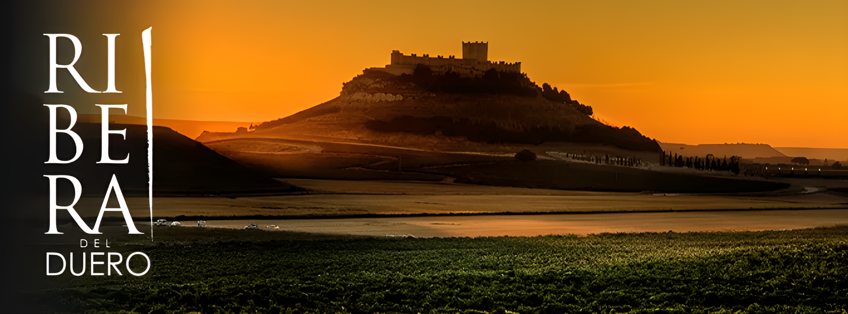 RIBERA DEL DUERO
