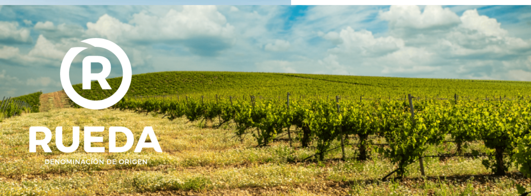 RUEDA