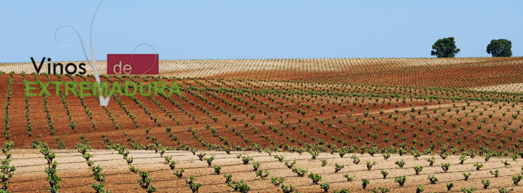 TIERRA DE EXTREMADURA
