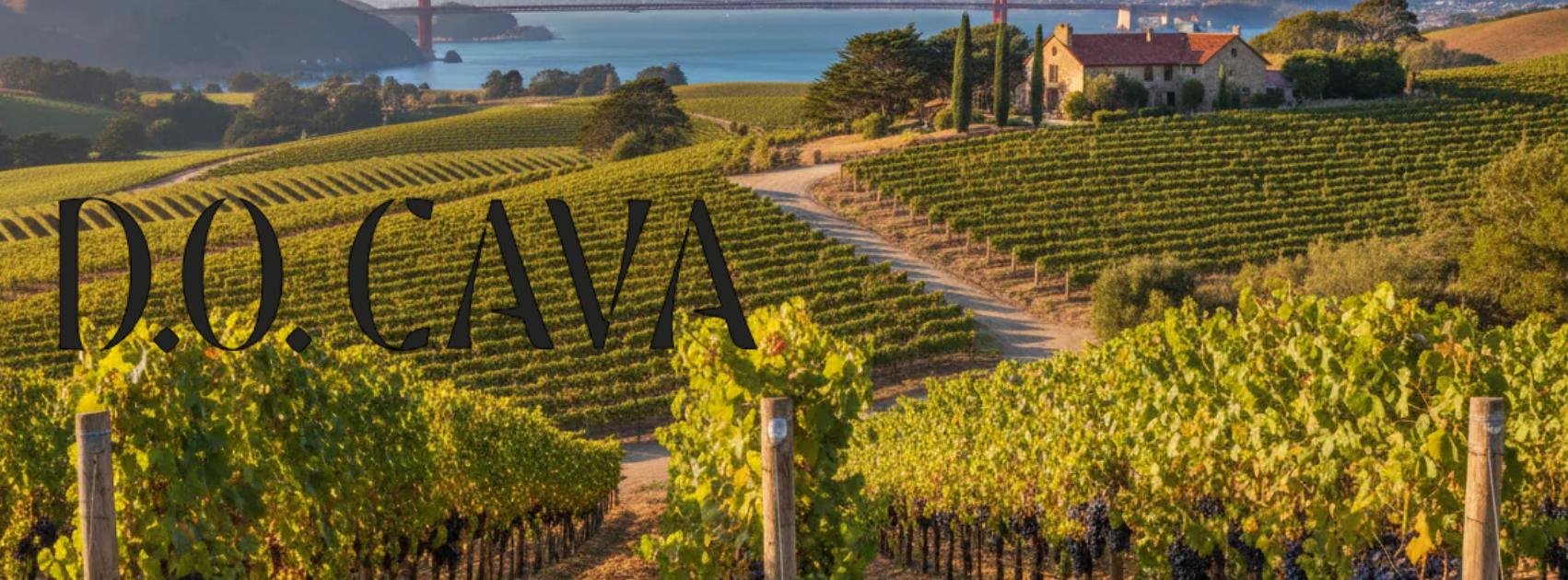 CAVA