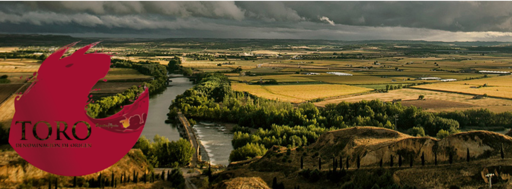 TORO